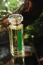 voir cet article : l'Artisan Parfumeur Fleur de Liane 50 ml