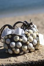 voir cet article : Jamin Puech Akil Bag