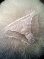 voir cet article : Fifi Chachnil Culotte Minette