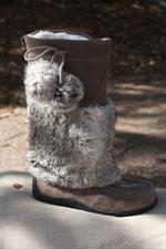 voir cet article : MUKS Bottes  en peau perles