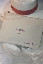 voir cet article : Where Else Pochette croisière Malibu-Los Angeles