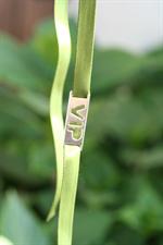 voir cet article : Argent de Poche Plaque vip 